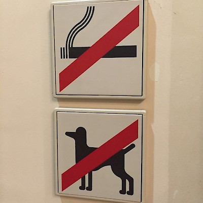 Nicht für Königspudel