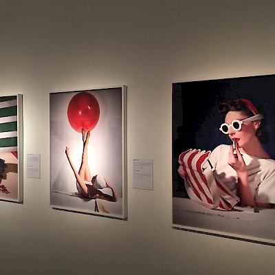 Die Ausstellung HORST in NRW Forum Düsseldorf