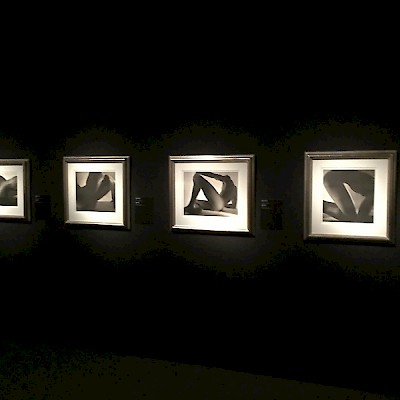 Die Ausstellung HORST in NRW Forum Düsseldorf